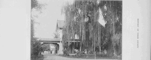 Glenside Park Women, The First Generation