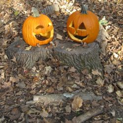 Mystery Jack O' Lanterns that just showed upPhoto by Paul Schryba